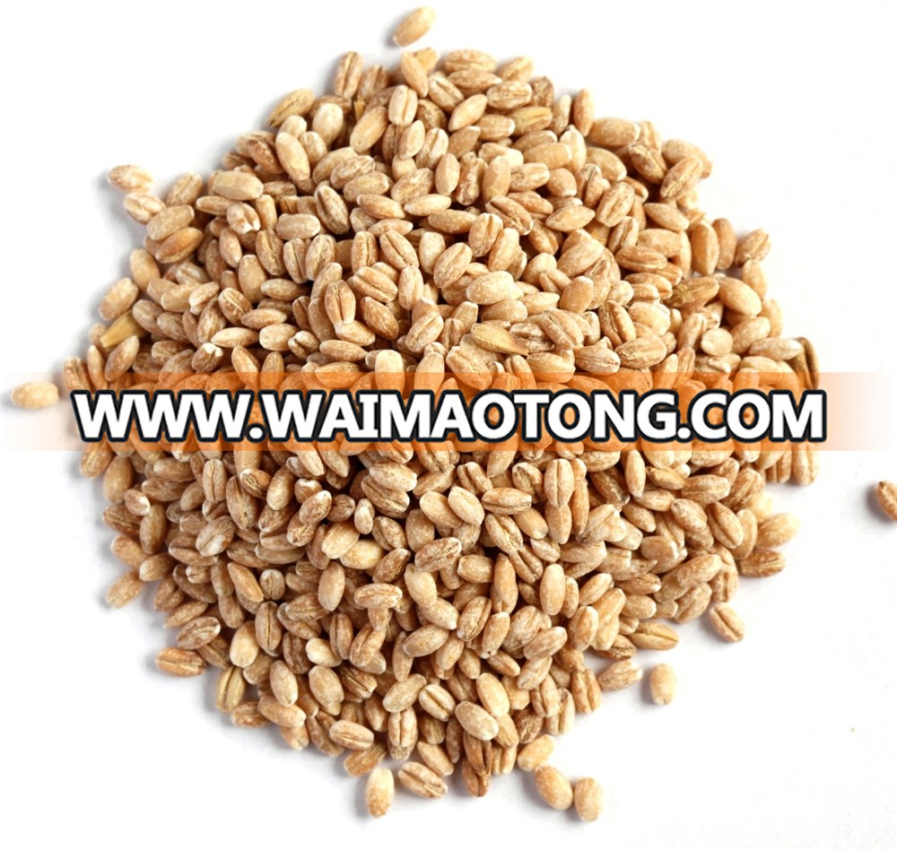 Pearl barley, fine ground barley