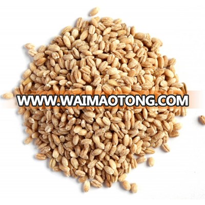 Pearl barley, fine ground barley